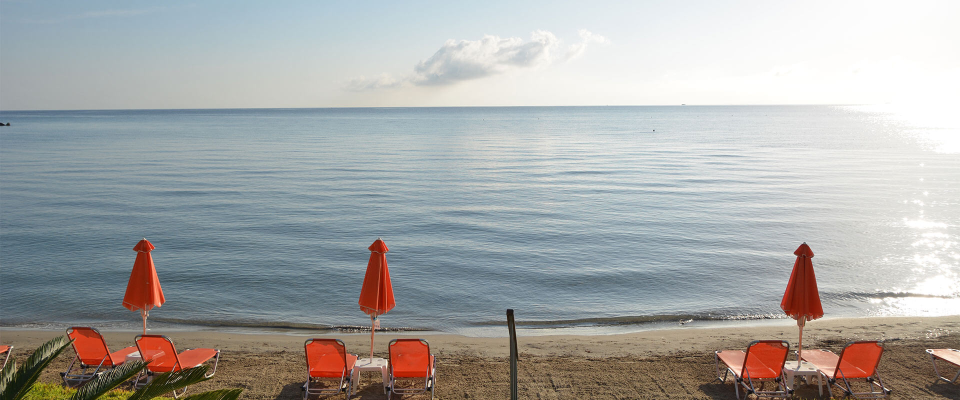 al mare Beach hotel tsilivi zakynthos